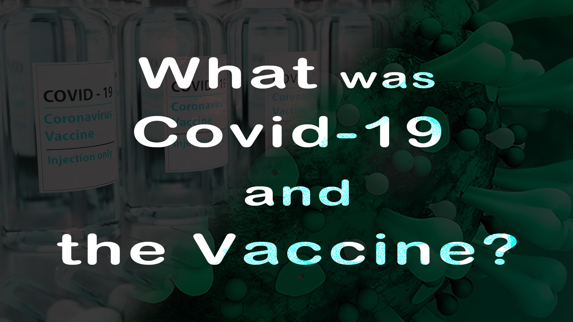 コロナとワクチンとは、何だったのか？